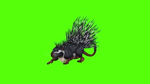 Porcupine Claws Attack Green Screen Animation 4K Rendering Vidéo 295556887