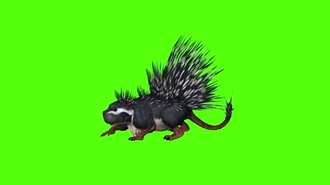 Porcupine Claws Attack Green Screen Animation 4K Rendering Vidéo 295556903