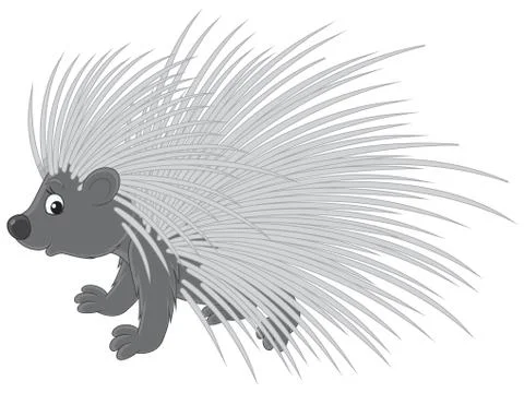 Porcupine Stock Illustration