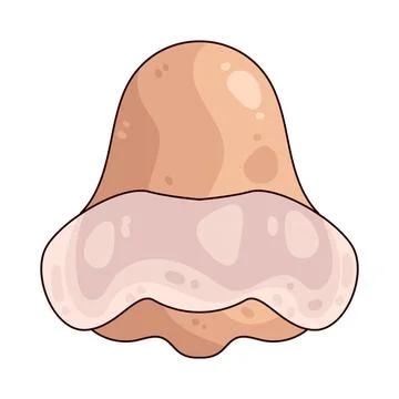 Pore strip illustration Stock Illustration