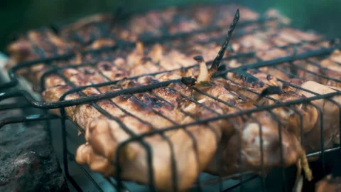 Pork and chicken kebab, cooked on coals. Rest, nature, fresh air. Stock Footage 231801314