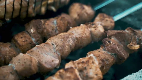 Pork and chicken kebab, cooked on coals. Rest, nature, fresh air. Stock Footage 231806246