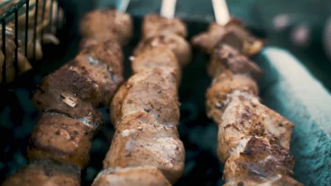 Pork and chicken kebab, cooked on coals. Rest, nature, fresh air. Stock Footage 231807332