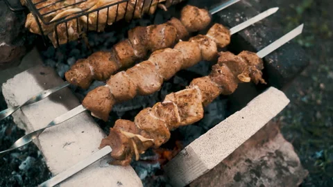 Pork and chicken kebab, cooked on coals. Rest, nature, fresh air. Stock Footage 231807602