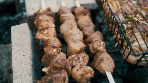 Pork and chicken kebab, cooked on coals. Rest, nature, fresh air. Stock Footage 231809473