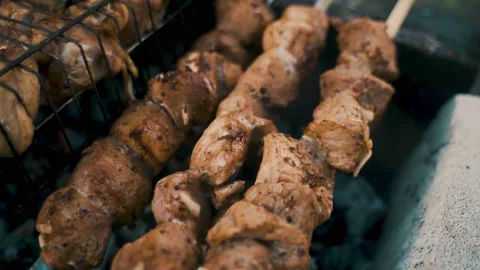 Pork and chicken kebab, cooked on coals. Rest, nature, fresh air. Stock Footage 231810911