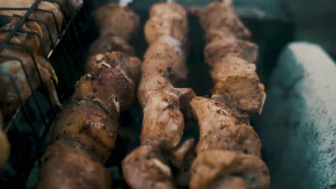 Pork and chicken kebab, cooked on coals. Rest, nature, fresh air. Stock Footage 231811478
