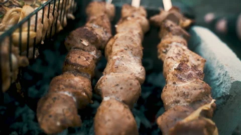 Pork and chicken kebab, cooked on coals. Rest, nature, fresh air. Stock Footage 231819065