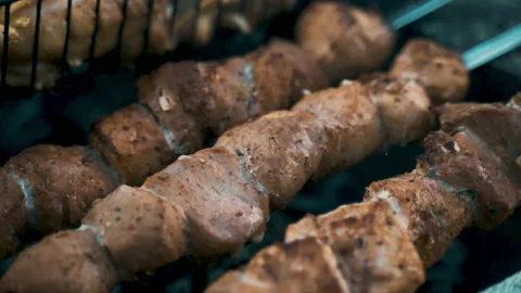 Pork and chicken kebab, cooked on coals. Rest, nature, fresh air. Stock Footage 231819356