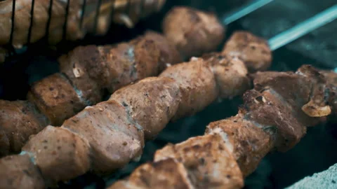 Pork and chicken kebab, cooked on coals. Rest, nature, fresh air. Stock Footage 231819675