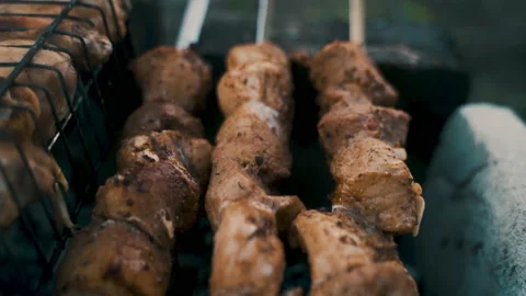 Pork and chicken kebab, cooked on coals. Rest, nature, fresh air. Stock Footage 231821510