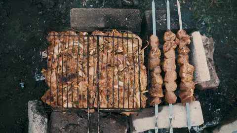 Pork and chicken kebab, cooked on coals. Rest, nature, fresh air. Stock Footage 231823689