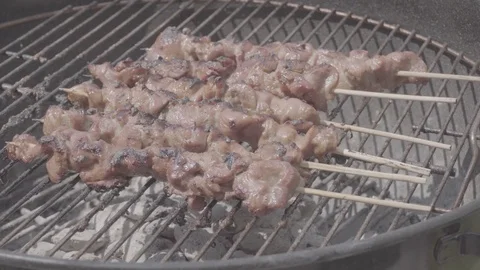 Pork BBQ on a skewers on the grill using charcoal. Stock Footage 74721586