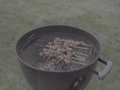 Pork BBQ on a skewers on the grill using charcoal. Stock Footage 74721607