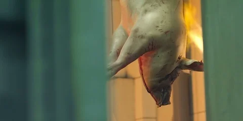 A pork carcass is fired with a flamethrower to remove hair Stock Footage 73788467