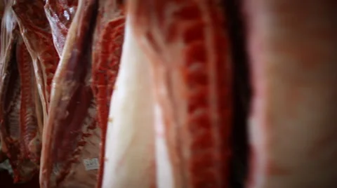 Pork carcass on hooks Stock Footage 59869764