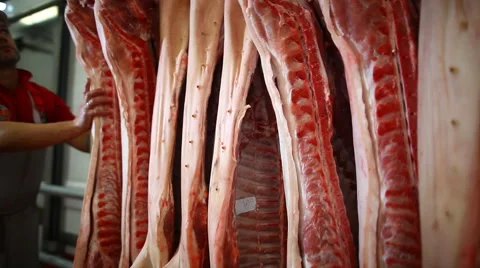 Pork carcasses hanging on hooks Stock Footage 59869593