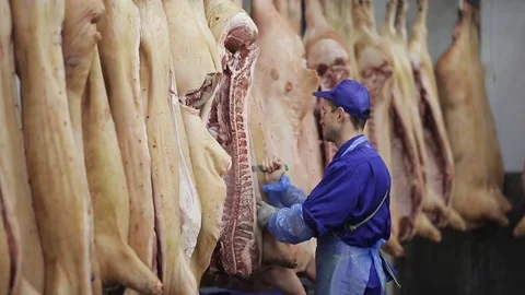 Pork carcasses hanging on hooks in a meat factory. boning of pork carcasses Stock Footage 82276370
