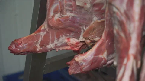 Pork carcasses hanging on hooks in a meat factory. Part of sausage production Stock Footage 131860487