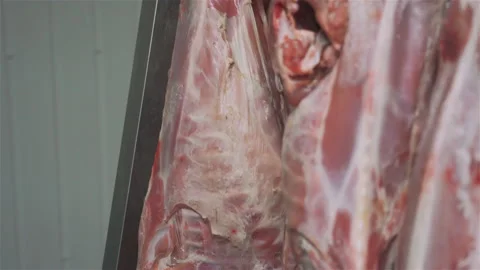 Pork carcasses hanging on hooks in a meat factory. Part of sausage production Stock Footage 131860790