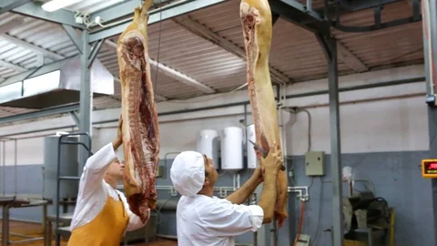 Pork carcasses two men move in a butcher factory Stock Footage 129305923