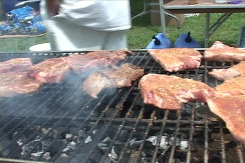 Pork chops on barbeque grill Stock Footage 124672976