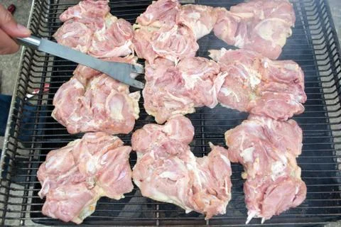 Pork chops on nice grill Stock Photos