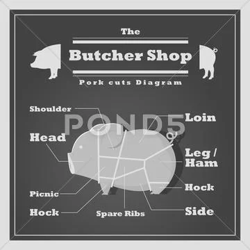 Pork cuts diagram Butcher shop background Stock Illustration