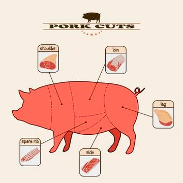 Pork cuts Stock Illustration