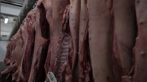 Pork in the fridge Stock Footage 81212812