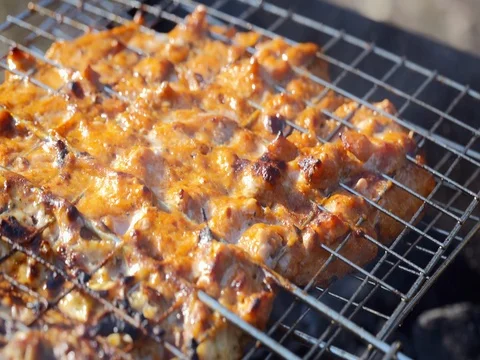 Pork on the grill. BBQ Video stock 74067544