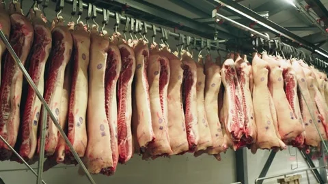 Pork half-carcasses without heads hang in a row on hooks of a specialized Stock-Footage 313053905
