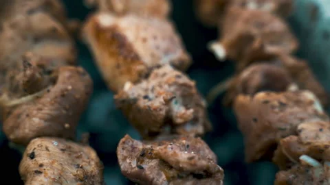 Pork kebab, cooked on coals. Rest, nature, fresh air. Stock Footage 231804507