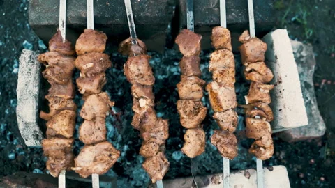 Pork kebab, cooked on coals. Rest, nature, fresh air. Stock Footage 231806024