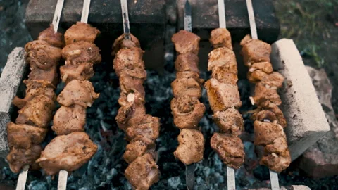Pork kebab, cooked on coals. Rest, nature, fresh air. Stock Footage 231806159