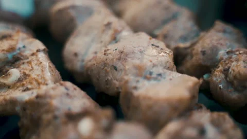 Pork kebab, cooked on coals. Rest, nature, fresh air. Stock Footage 231809807