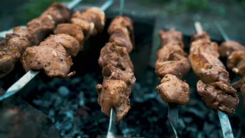 Pork kebab, cooked on coals. Rest, nature, fresh air. Stock Footage 231817443