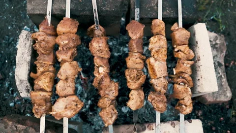 Pork kebab, cooked on coals. Rest, nature, fresh air. Stock Footage 231818123