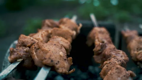 Pork kebab, cooked on coals. Rest, nature, fresh air. Stock Footage 231818431