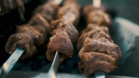 Pork kebab, cooked on coals.  Rest, nature, fresh air. Stock Footage 231822496