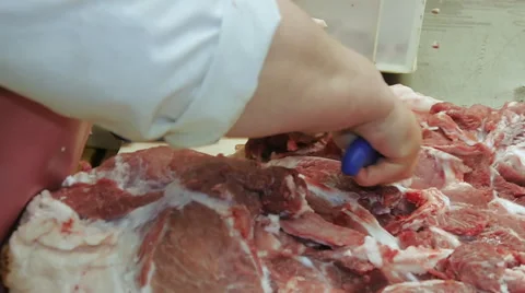 Pork meat beef carcass hanging in a meat factory producing sausages butcher cuts Stock Footage