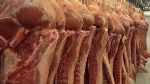 Pork meat being sliced into pieces in the factory Stock Footage 239688914