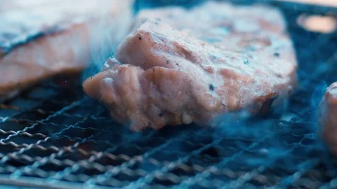 Pork meat on the grill Stock Footage 115107768