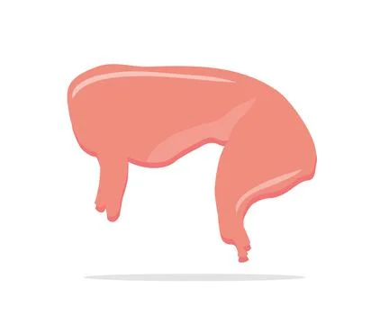 Pork or rabbit meat, rabbit organic farm diet meat logo design. Stock Illustration
