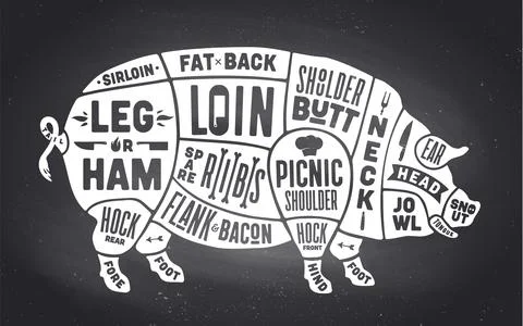 Pork, pig. Scheme, diagram, chart pork, butcher guide Stock Illustration