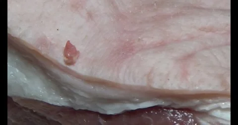 Pork on a plate Video stock 295571502