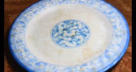 Pork on a plate Stock Footage 295571550