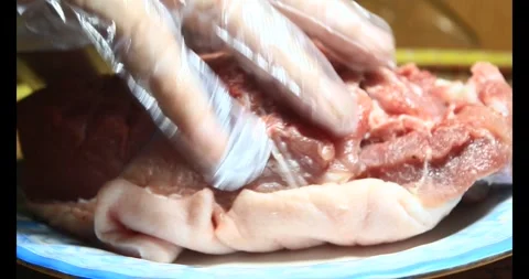Pork on a plate Stock Footage 295571757