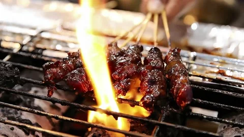 Pork satay grilled over a burning fire while turning it over Stock Footage 272298366