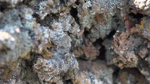 Porous basalt rock texture in closeup - Volcanic Deposit and Volcanic Fragments Stock Footage 339505392